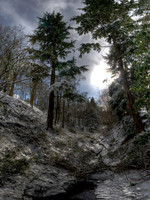 Winter Burn