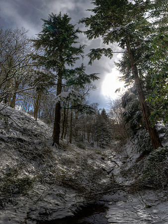 Winter Burn