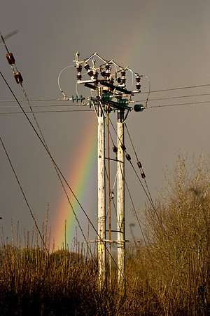 Light & Power