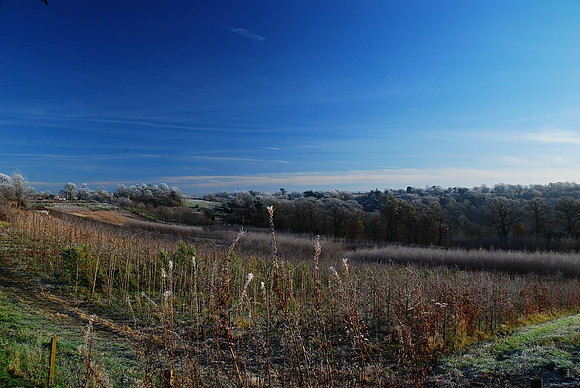 Breeze Hill