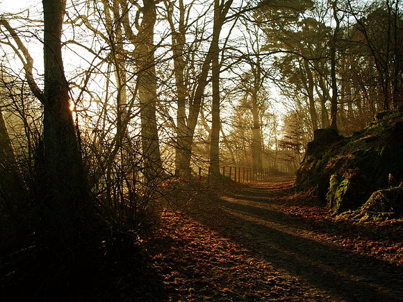 Powder Mills