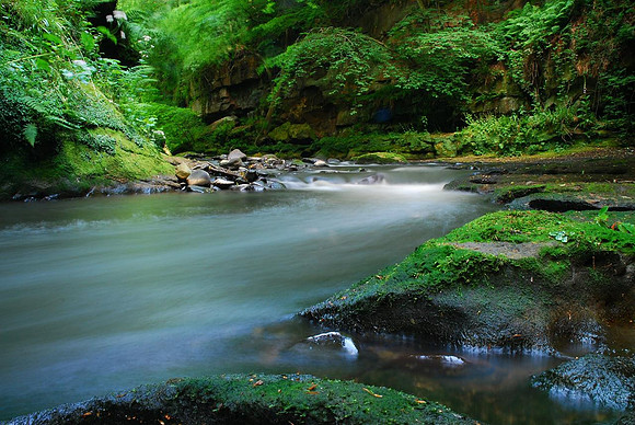 River Esk Glade
