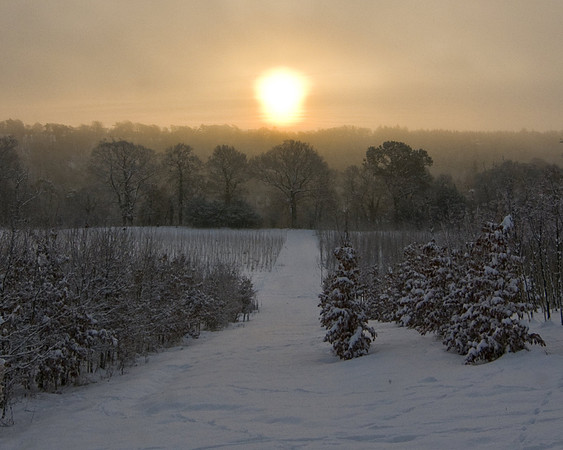 Breeze Hill Sunrise - Roslin