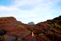 Bass Rock from Seacliff harbour