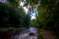 Roslin Glen