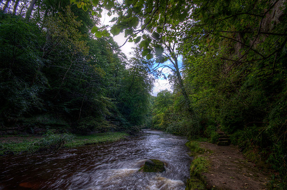 Roslin Glen