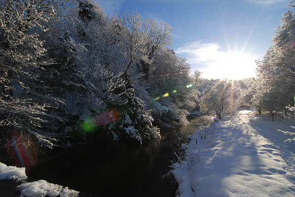 Roslin Glen