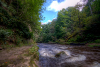 Roslin Glen