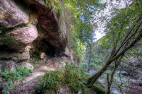Roslin Glen