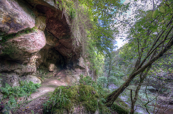 Roslin Glen