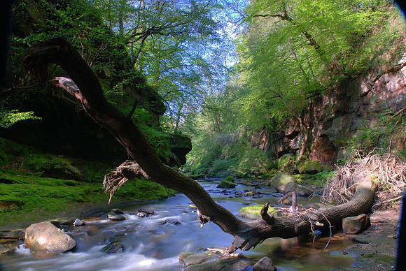 River North Esk