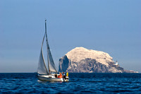 Sailing at the Bass Rock